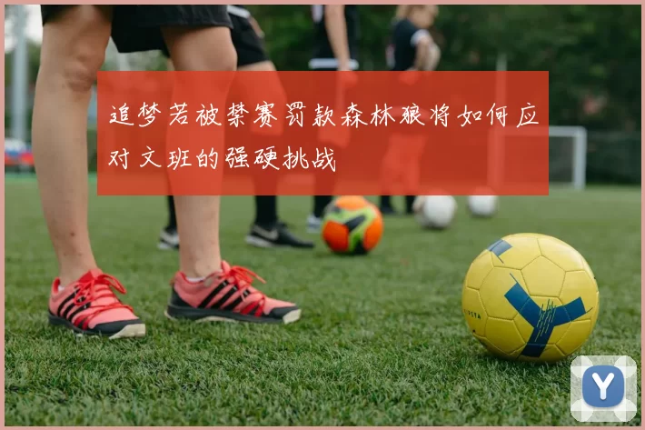 追梦若被禁赛罚款森林狼将如何应对文班的强硬挑战